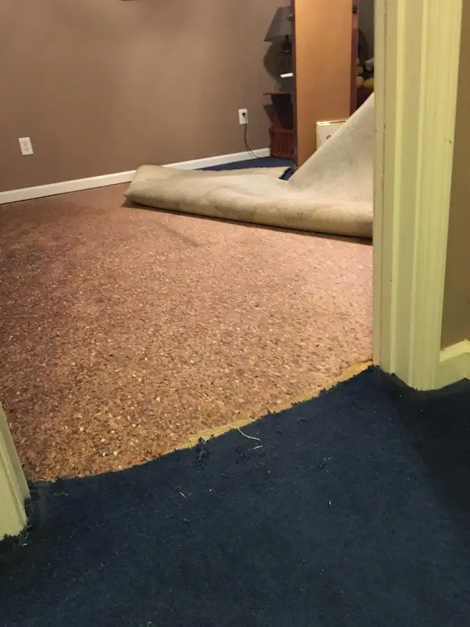 Carpet pad removal revealing water damage during Drying & Dehumidification in Lebanon